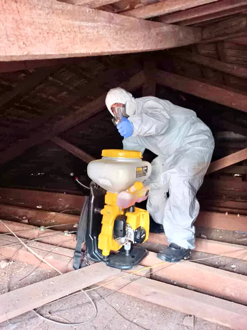Técnico da Praban de macacão e máscara aplicando produto no forro de madeira de uma casa