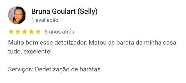 Avaliação de Bruna Goulart no Google: acabou com as baratas da casa inteira