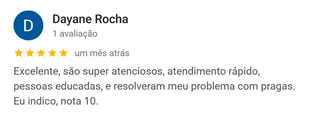 Avaliação de Dayane Rocha no Google: super atenciosos, atendimento rápido, resolveram meu problema com pragas