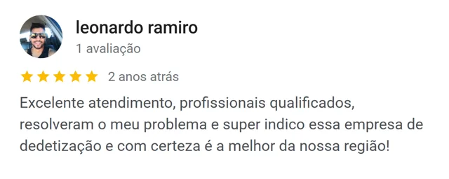 Avaliação de Leonardo Ramiro no Google: profissionais qualificados, resolveram o problema